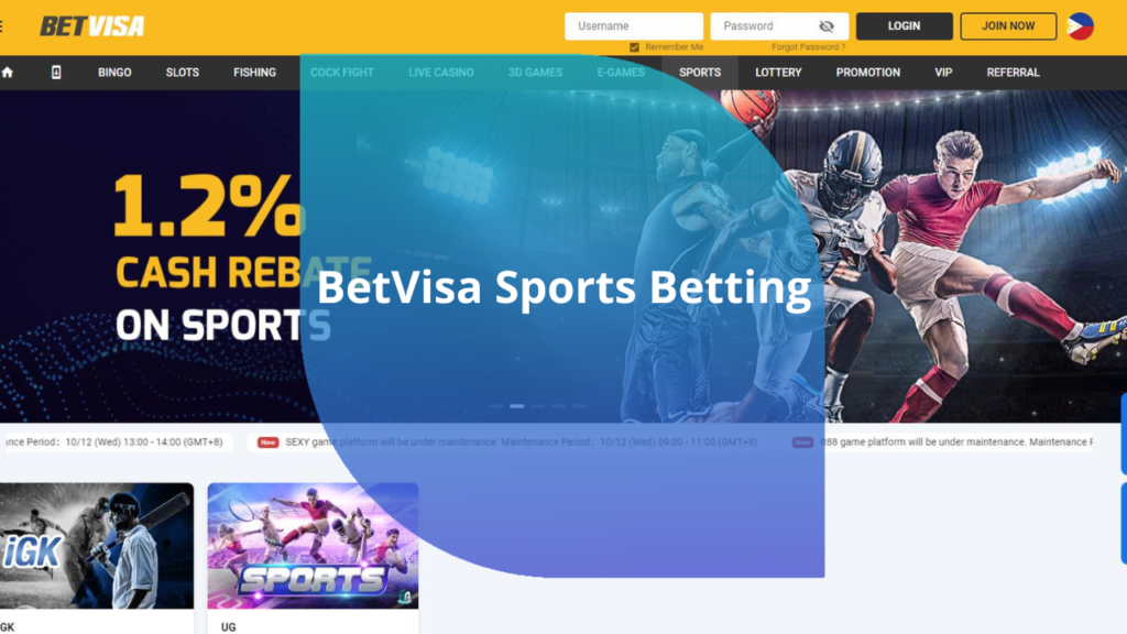 BetVisa Sports Betting
