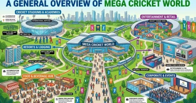 General overview of Mega Cricket World