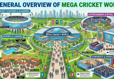 General overview of Mega Cricket World